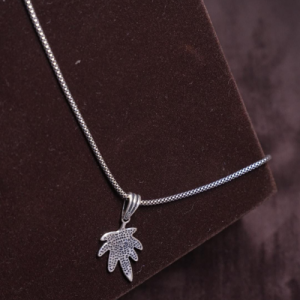 Silver Chain with Locket